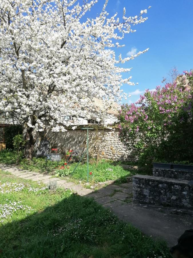 Soisy-sur-EcoleChez Marylene公寓 外观 照片